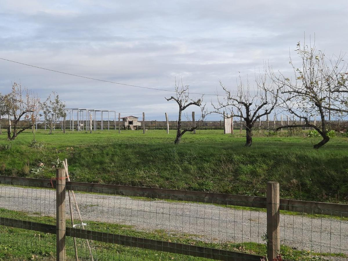 Bed and Breakfast Au Temps Retrouve Nouans-les-Fontaines Exterior foto